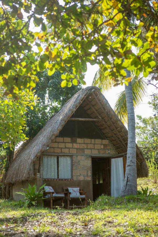 Turtle Cove Lodge And Yoga Shala Tofo Экстерьер фото